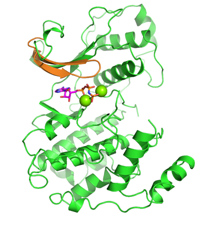 Malarial Kinase protein